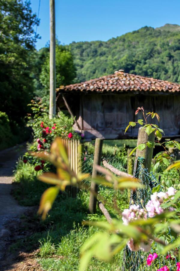 Vila Casa Clarita Caño Exteriér fotografie